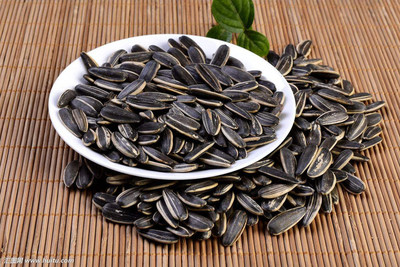 山東瓜子 五香瓜子 瓜子批發(fā)