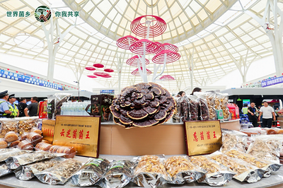 云南南華 菌旅與鮮果，邀您解鎖別樣清涼暑期