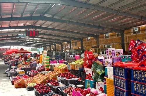 元旦市場供應(yīng)充足，新鮮水果喜迎佳節(jié)